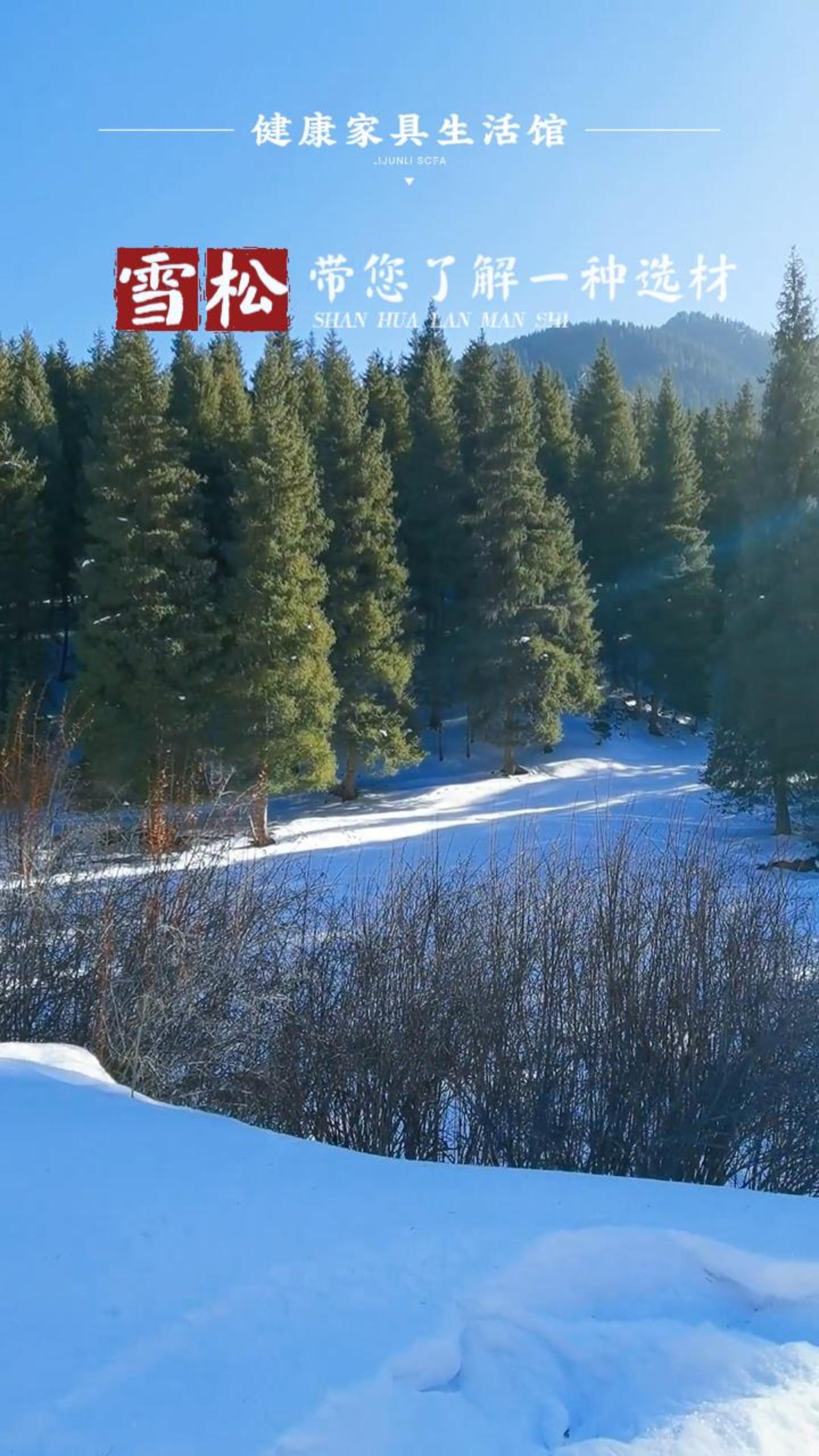 《带您了解一种选材：雪松》
